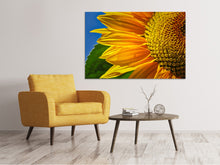 Laden Sie das Bild in den Galerie-Viewer, Leinwandbild Die Knospe Close up