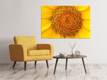 Laden Sie das Bild in den Galerie-Viewer, Leinwandbild Wunderschöne Knospen der Sonnenblume