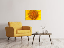Laden Sie das Bild in den Galerie-Viewer, Leinwandbild Wunderschöne Knospen der Sonnenblume