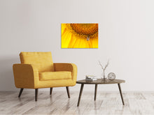 Laden Sie das Bild in den Galerie-Viewer, Leinwandbild Close up Gelbe Knospe