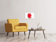 Laden Sie das Bild in den Galerie-Viewer, Leinwandbild Roter Weihnachtsstern