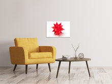 Laden Sie das Bild in den Galerie-Viewer, Leinwandbild Roter Weihnachtsstern