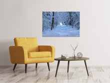 Laden Sie das Bild in den Galerie-Viewer, Leinwandbild Endlich Winter