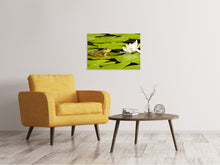 Laden Sie das Bild in den Galerie-Viewer, Leinwandbild Der Frosch und die Seerose