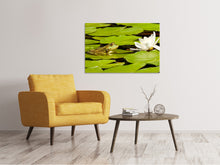 Laden Sie das Bild in den Galerie-Viewer, Leinwandbild Der Frosch und die Seerose