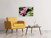 Laden Sie das Bild in den Galerie-Viewer, Leinwandbild Der Frosch im Schutz der Seerosen