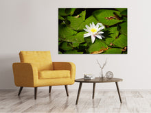 Laden Sie das Bild in den Galerie-Viewer, Leinwandbild Die weisse Seerose
