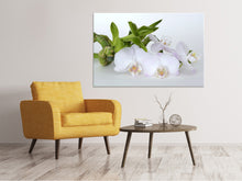 Laden Sie das Bild in den Galerie-Viewer, Leinwandbild Orchidee und Bambus