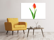Laden Sie das Bild in den Galerie-Viewer, Leinwandbild Die stolze Tulpe