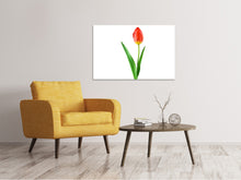 Laden Sie das Bild in den Galerie-Viewer, Leinwandbild Die stolze Tulpe
