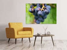 Laden Sie das Bild in den Galerie-Viewer, Leinwandbild Weintrauben