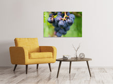 Laden Sie das Bild in den Galerie-Viewer, Leinwandbild Weintrauben