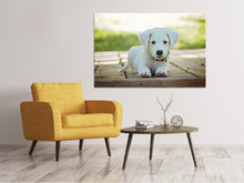 Laden Sie das Bild in den Galerie-Viewer, Leinwandbild Süsses Hunde Baby