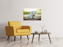 Laden Sie das Bild in den Galerie-Viewer, Leinwandbild Süsses Hunde Baby