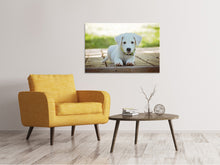 Laden Sie das Bild in den Galerie-Viewer, Leinwandbild Süsses Hunde Baby