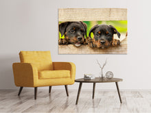 Laden Sie das Bild in den Galerie-Viewer, Leinwandbild 2 Rottweiler Welpen