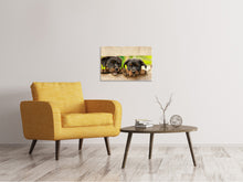 Laden Sie das Bild in den Galerie-Viewer, Leinwandbild 2 Rottweiler Welpen