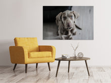 Laden Sie das Bild in den Galerie-Viewer, Leinwandbild Der Weimaraner
