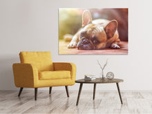 Laden Sie das Bild in den Galerie-Viewer, Leinwandbild Müde Bulldogge