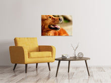 Laden Sie das Bild in den Galerie-Viewer, Leinwandbild Irish Setter Schnauze
