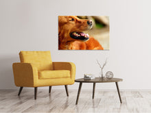 Laden Sie das Bild in den Galerie-Viewer, Leinwandbild Irish Setter Schnauze