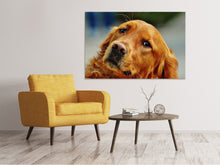 Laden Sie das Bild in den Galerie-Viewer, Leinwandbild Treuer Irish Setter