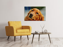 Laden Sie das Bild in den Galerie-Viewer, Leinwandbild Treuer Irish Setter