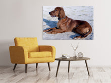 Laden Sie das Bild in den Galerie-Viewer, Leinwandbild Eleganter Irish Setter