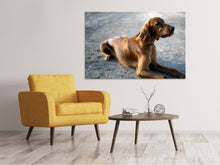 Laden Sie das Bild in den Galerie-Viewer, Leinwandbild Der Irish Setter