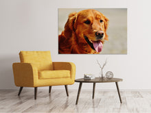 Laden Sie das Bild in den Galerie-Viewer, Leinwandbild Treue Seele