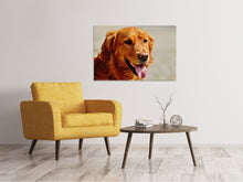 Laden Sie das Bild in den Galerie-Viewer, Leinwandbild Treue Seele
