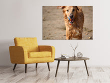 Laden Sie das Bild in den Galerie-Viewer, Leinwandbild Nasser Hund