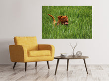 Laden Sie das Bild in den Galerie-Viewer, Leinwandbild Der Mastiff im Gras