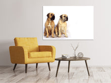 Laden Sie das Bild in den Galerie-Viewer, Leinwandbild 2 Mastiffs