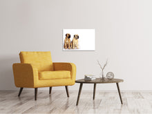 Laden Sie das Bild in den Galerie-Viewer, Leinwandbild 2 Mastiffs