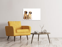 Laden Sie das Bild in den Galerie-Viewer, Leinwandbild 2 Mastiffs