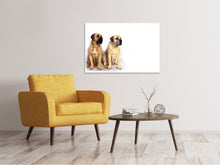 Laden Sie das Bild in den Galerie-Viewer, Leinwandbild 2 Mastiffs