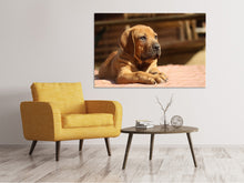 Laden Sie das Bild in den Galerie-Viewer, Leinwandbild Trauriger Hundeblick