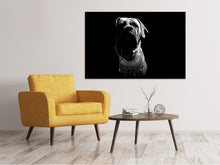Laden Sie das Bild in den Galerie-Viewer, Leinwandbild Der Boerboel sw