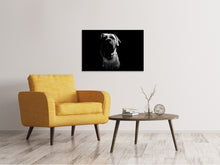 Laden Sie das Bild in den Galerie-Viewer, Leinwandbild Der Boerboel sw
