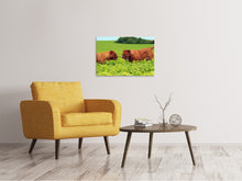 Laden Sie das Bild in den Galerie-Viewer, Leinwandbild 2 Schwergewichte