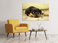 Laden Sie das Bild in den Galerie-Viewer, Leinwandbild Süsse Rottweiler Welpe