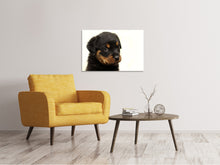 Laden Sie das Bild in den Galerie-Viewer, Leinwandbild Rottweiler Welpe zum Verlieben