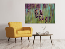 Laden Sie das Bild in den Galerie-Viewer, Leinwandbild Lavendel in XL