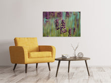 Laden Sie das Bild in den Galerie-Viewer, Leinwandbild Lavendel in XL