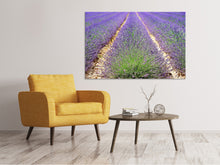 Laden Sie das Bild in den Galerie-Viewer, Leinwandbild Das Lavendel Feld