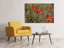 Laden Sie das Bild in den Galerie-Viewer, Leinwandbild Der Klatschmohn in der Natur