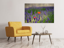 Laden Sie das Bild in den Galerie-Viewer, Leinwandbild Mohn im Lavendel