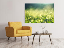 Laden Sie das Bild in den Galerie-Viewer, Leinwandbild In der Wiese