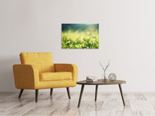 Laden Sie das Bild in den Galerie-Viewer, Leinwandbild In der Wiese